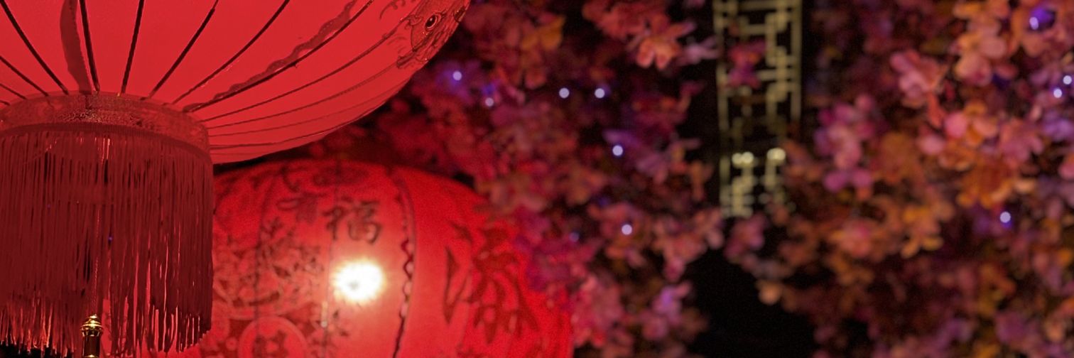neg_iinn's profile banner image