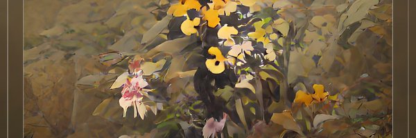 LamaPewee Profile Banner