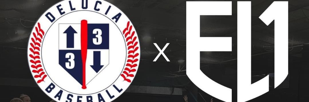 3up3downDeLuciaBaseball's banner