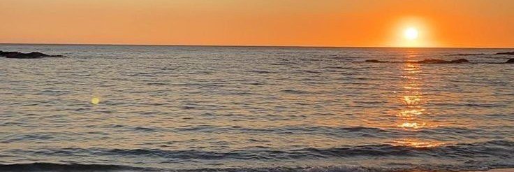 _mariel_gg's profile banner image