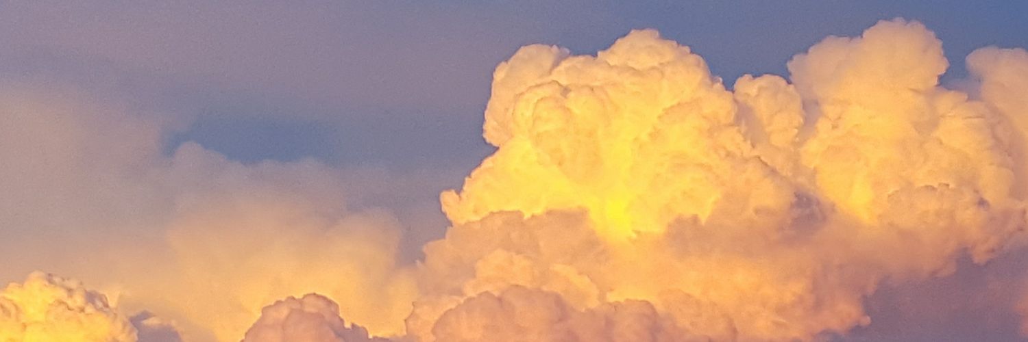 AmyLynn17093's profile banner image