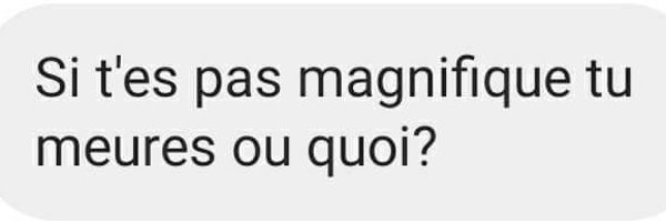 _nanoucha_ Profile Banner