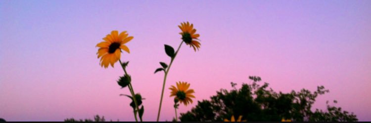 andrea7410's profile banner image