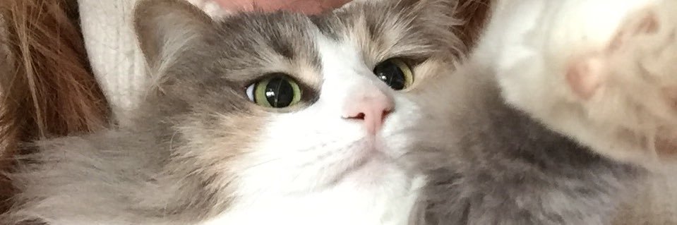 SoizicJacques's profile banner image