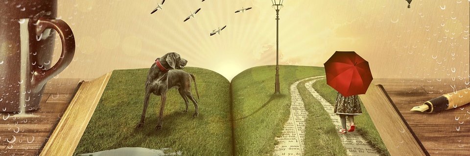 WAHS_Library's profile banner image