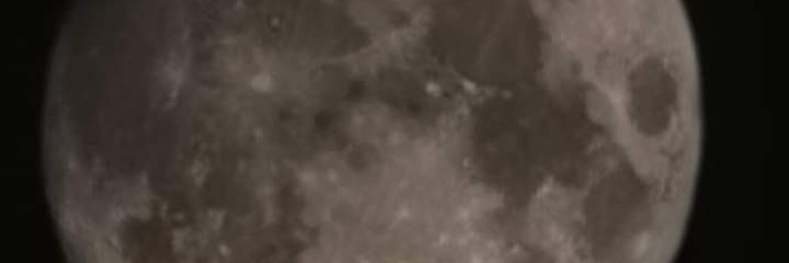 GRedFoXoX banner