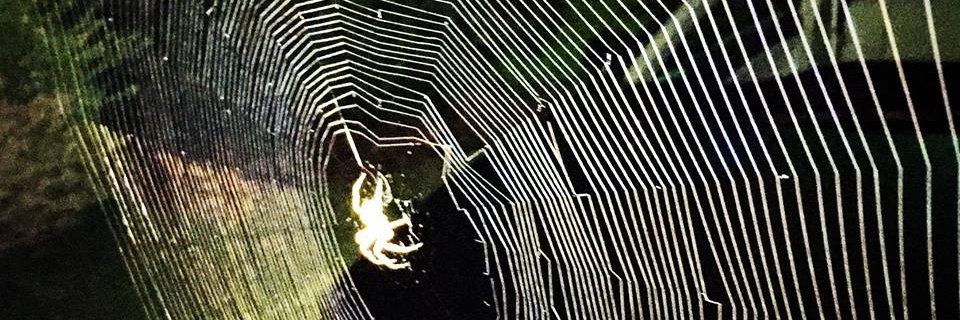 Radio Smuggles banner