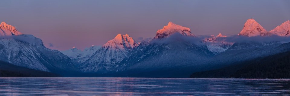 shellbirrd's profile banner image