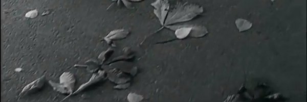 evryn_ Profile Banner