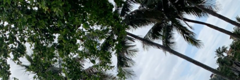 joreeslore's profile banner image