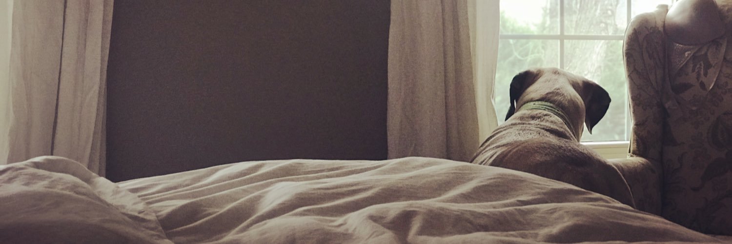 Philosopher Bean banner