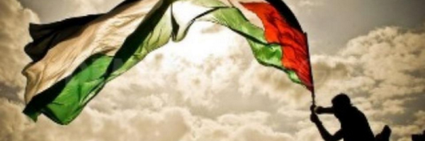 sebas_diazc Profile Banner