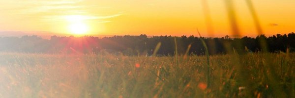 ALGA_Ltd Profile Banner