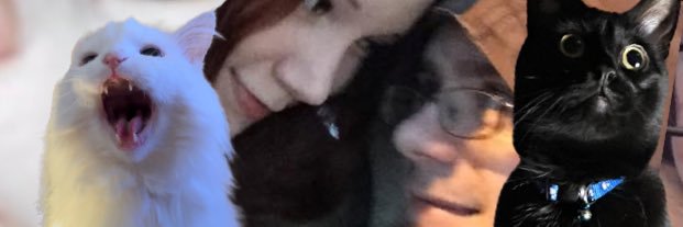 Thurston Waffles banner