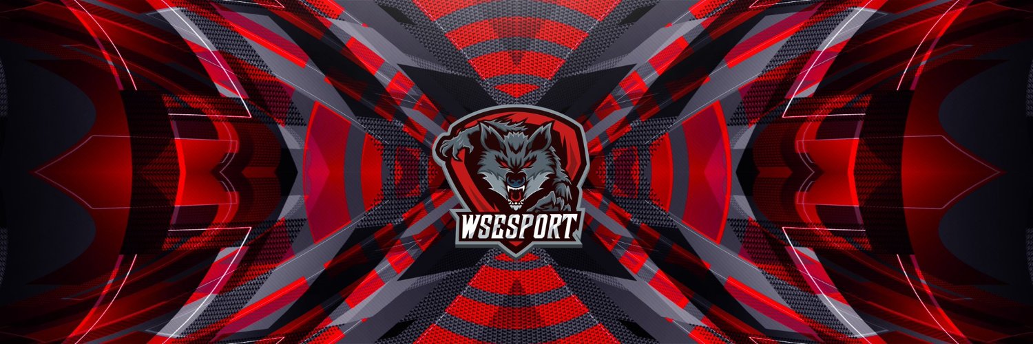 WS ESPORT banner