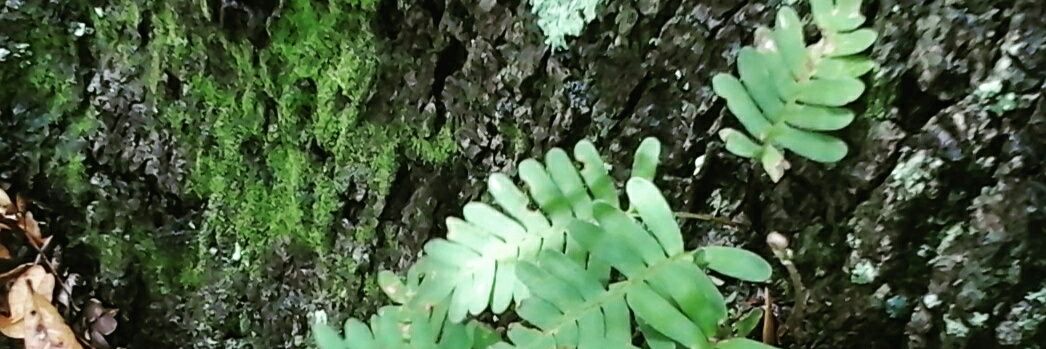 KropEnvironment's profile banner image