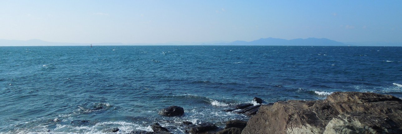 谷瀬未紀 banner