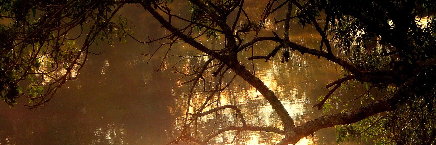MichelCraipeau's profile banner image