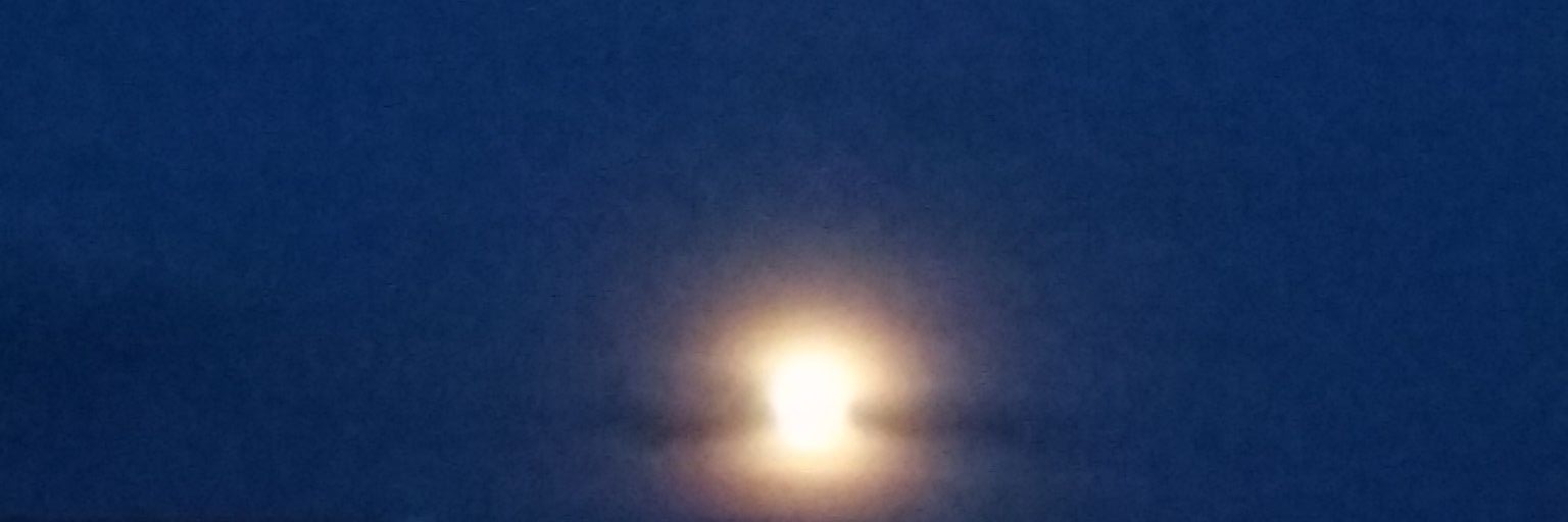 Declan Ó Fríl banner