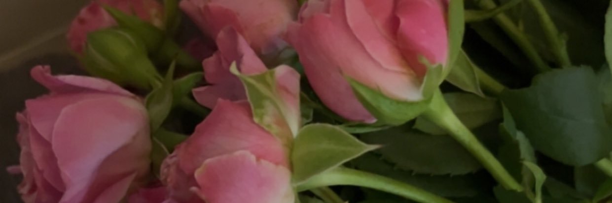 FaresJoory's profile banner image