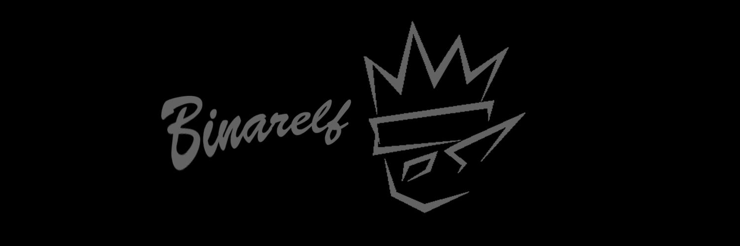 binarelf's profile banner image