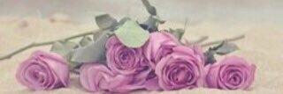 Shooq1208's profile banner image