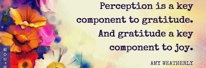 Julie McCarthy banner