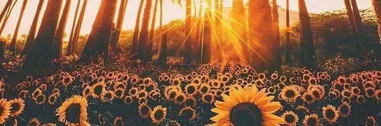 heauxsome's profile banner image