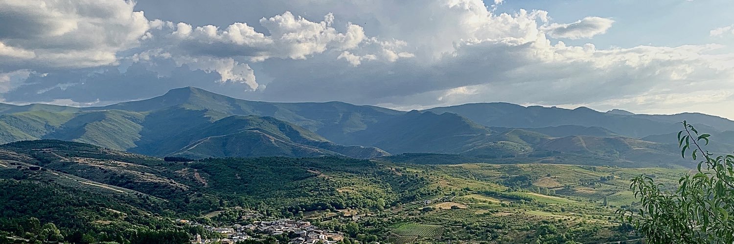 David Pérez Pacios banner