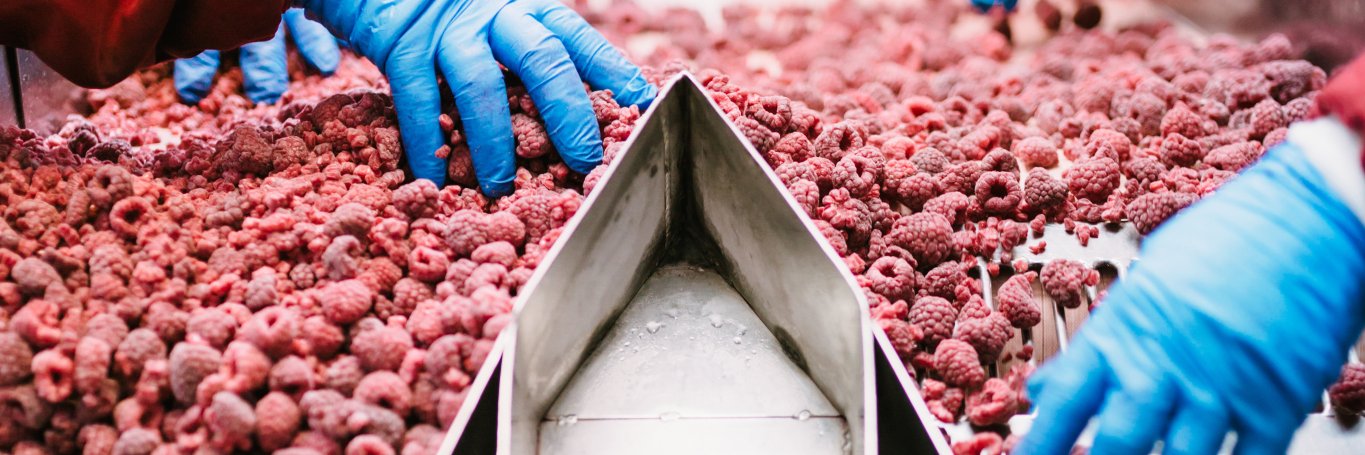 CMQ d'Excellence Agroalimentaire banner