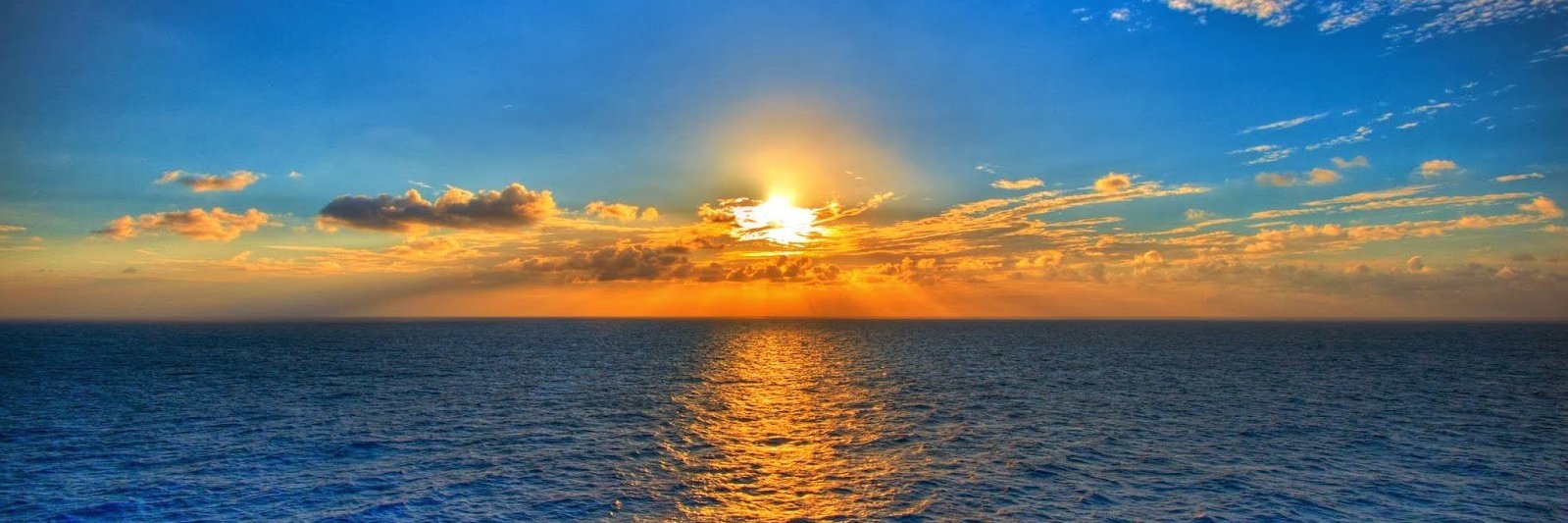 Nicolas Corena Guerra banner