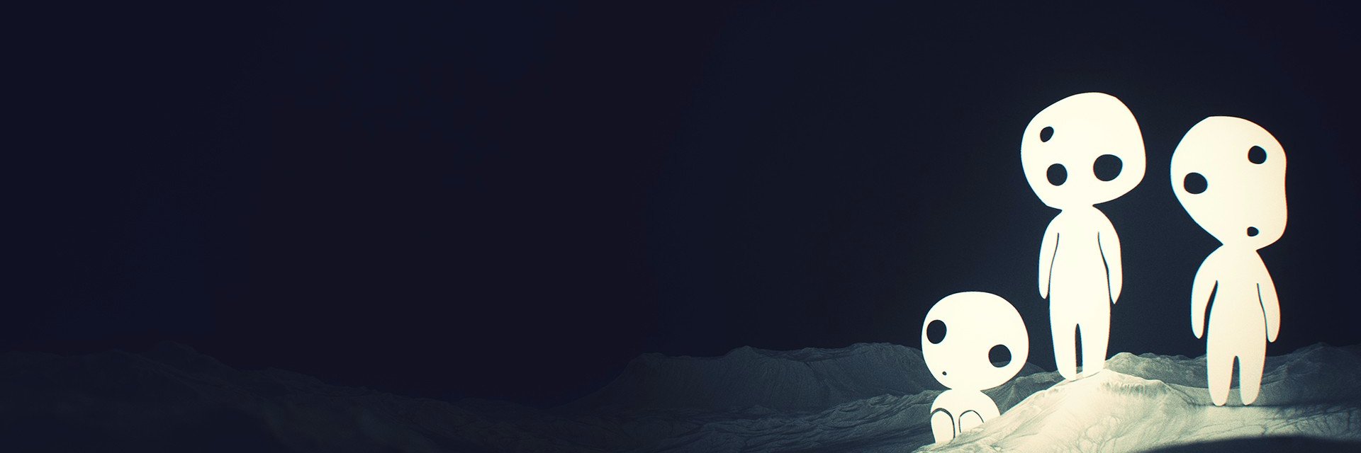 banidopt's profile banner image