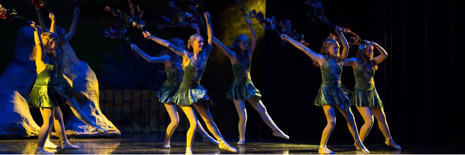 CwchsDance's profile banner image