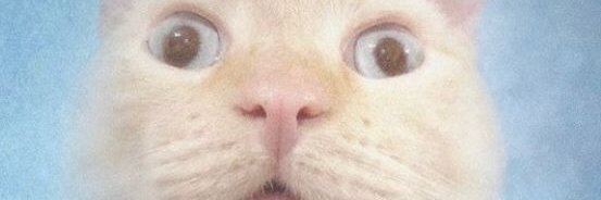 artdebka's profile banner image