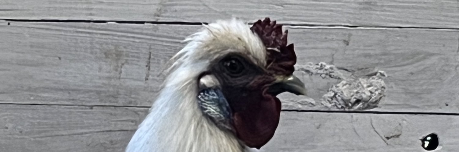 MasonCol3's profile banner image