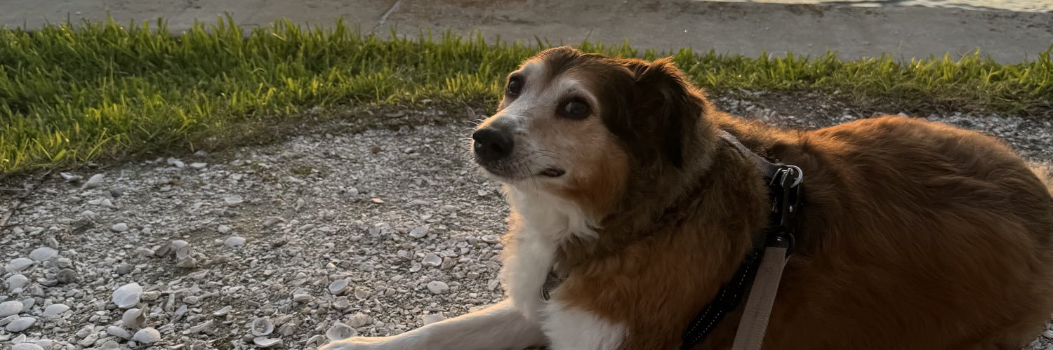 A_Tomes's profile banner image