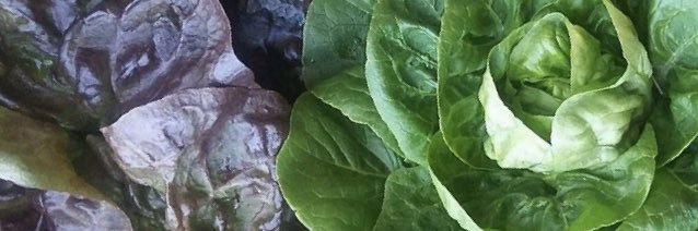larry_pird's profile banner image