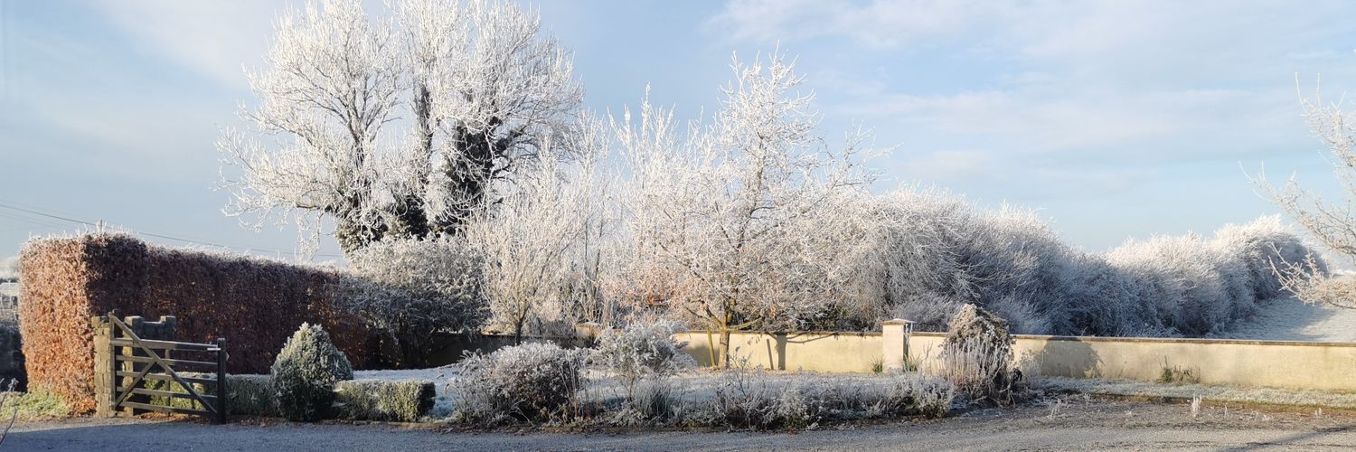Hillery Collins banner