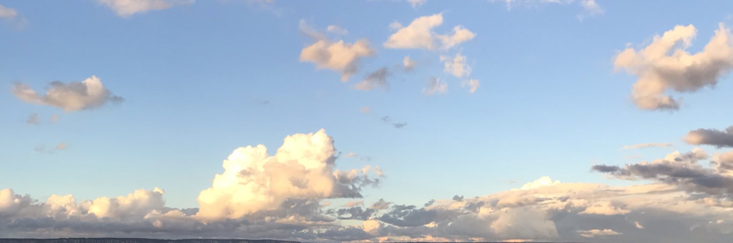 VetSam1019's profile banner image
