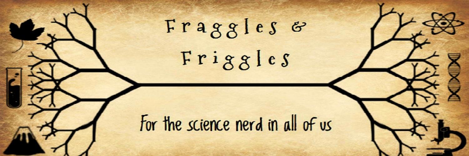 FraggsAndFriggs's profile banner image