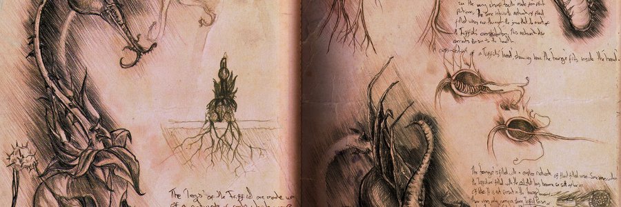 Xavier⚡$GOD banner