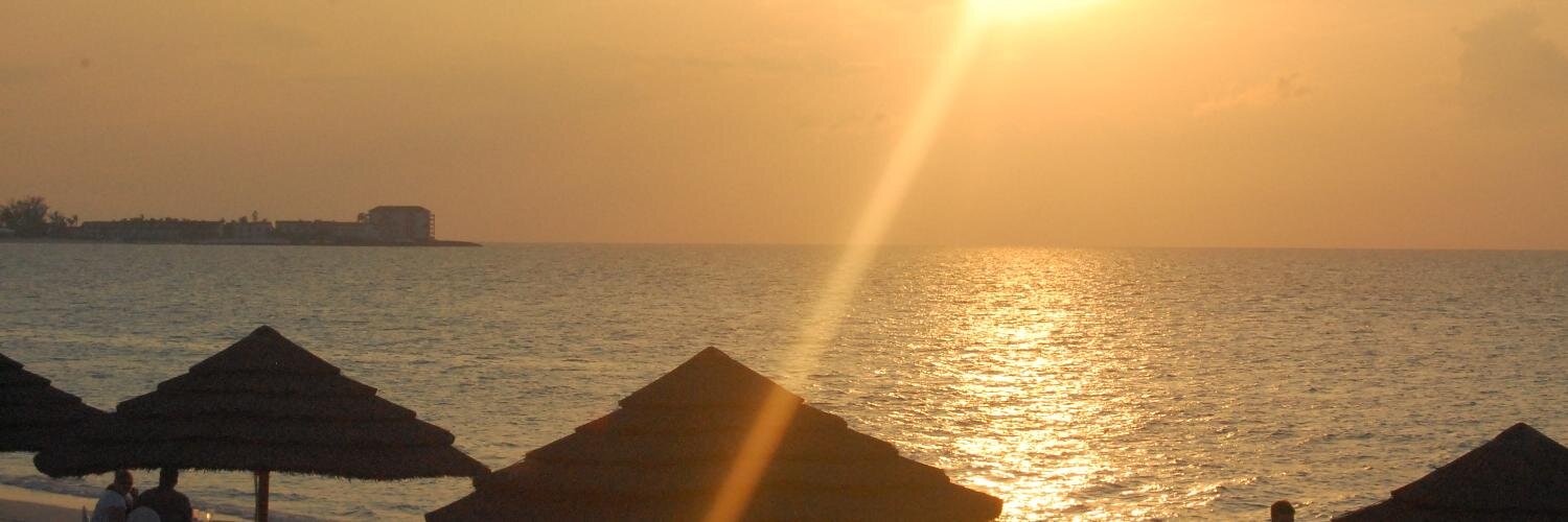 collodora's profile banner image