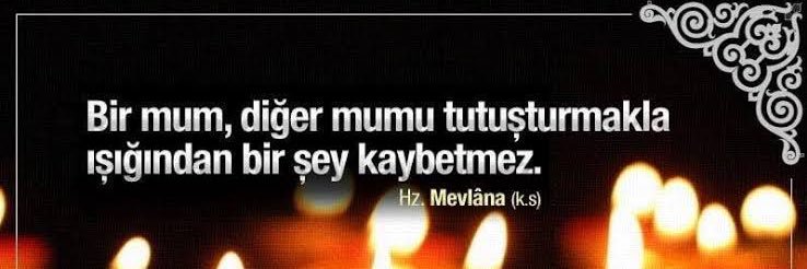 Emine Alp Meşe🇹🇷 banner