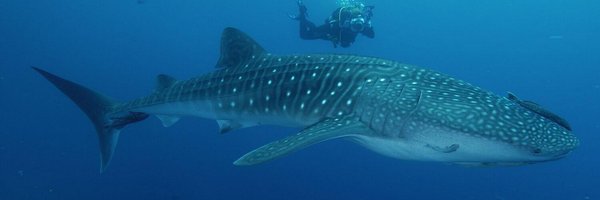 PompeyTim69 Profile Banner