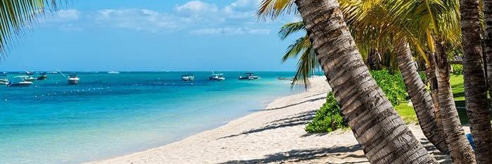 BeachLife623's profile banner image