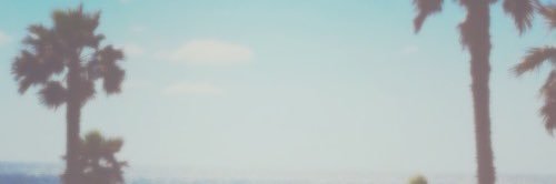 Sally Rubey banner
