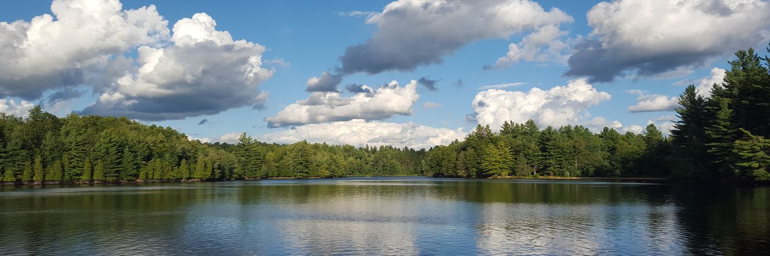 reidbarnowitz27's profile banner image