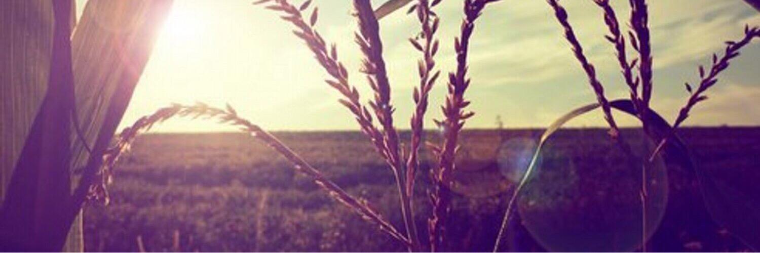 altharmanT's profile banner image