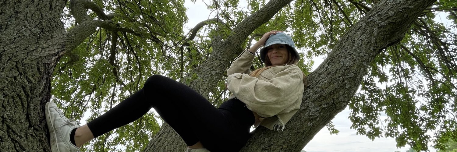 StrehCat's profile banner image