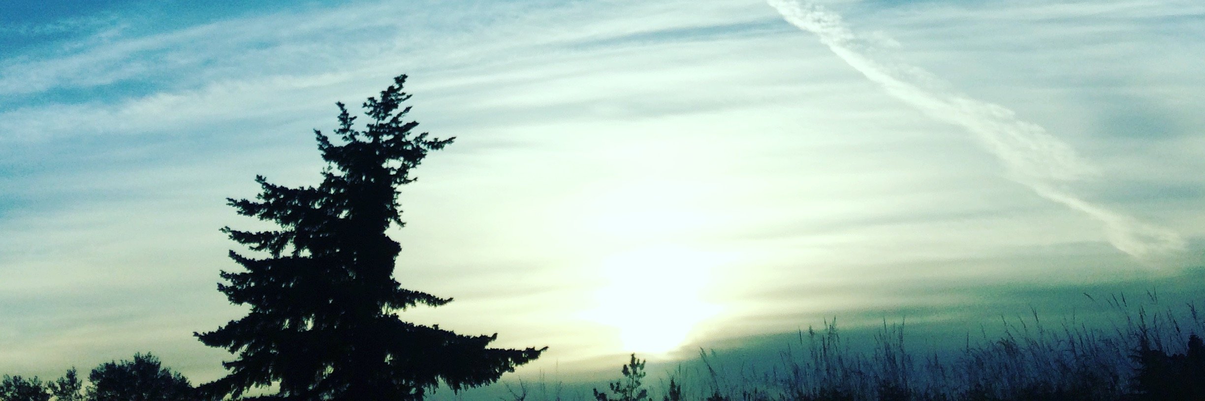 therealZenLuna's profile banner image